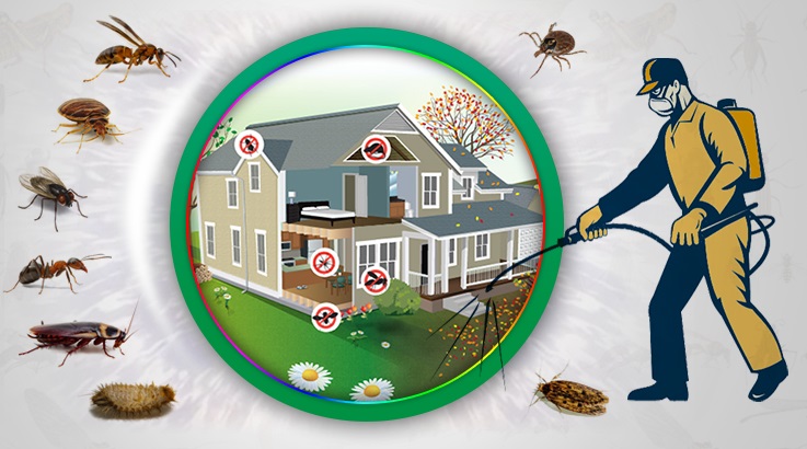 Aydın Böcek İlaçlama