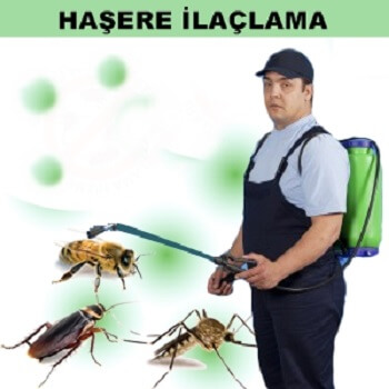 Aydın Böcek İlaçlama